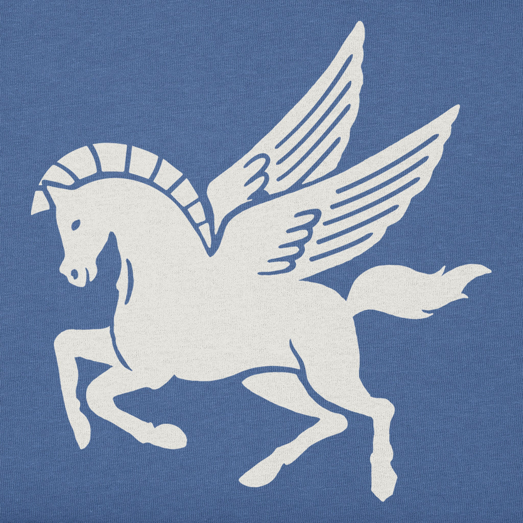 Women's Pegasus Short Sleeve Crusher Tee product image 2