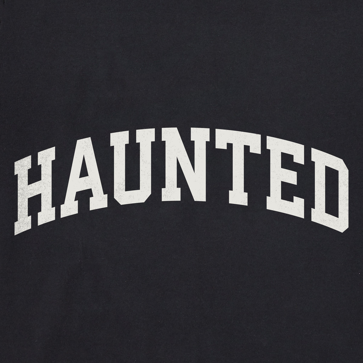 Men's Haunted Arch Short Sleeve Crusher Tee product image 2