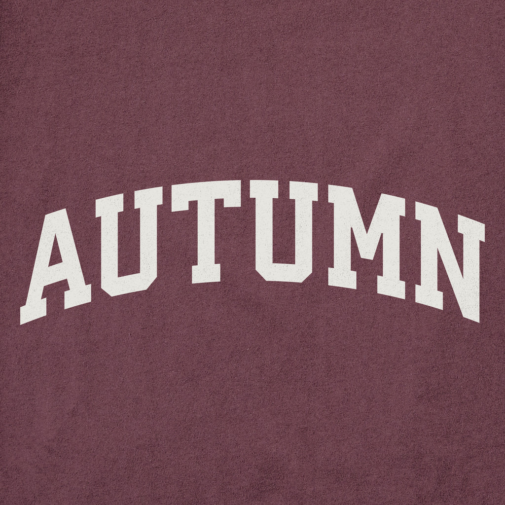 Men's Autumn Arch Short Sleeve Crusher Tee product image 2