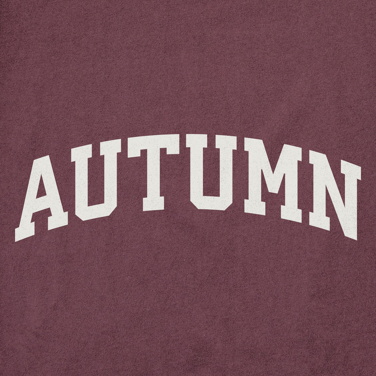 Men's Autumn Arch Short Sleeve Crusher Tee product image 2