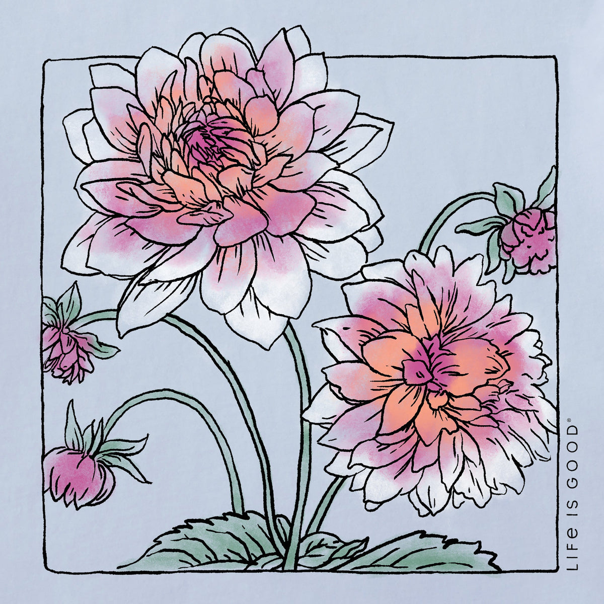 Women's Dahlias in a Box Short Sleeve Crusher Tee product image 2