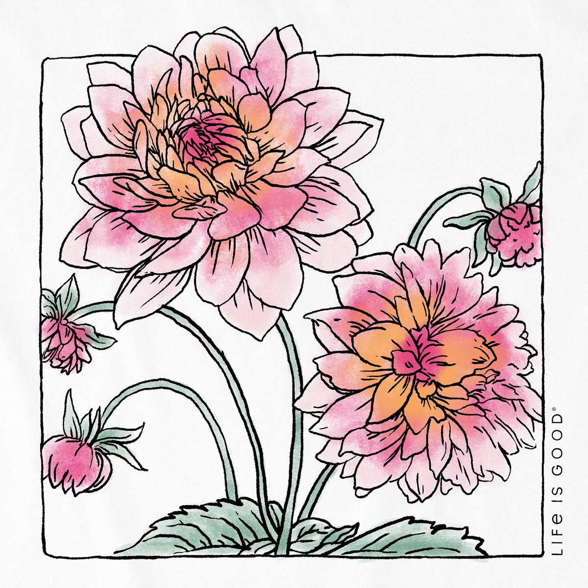 Women's Dahlias in a Box Short Sleeve Crusher Boxy Tee product image 2