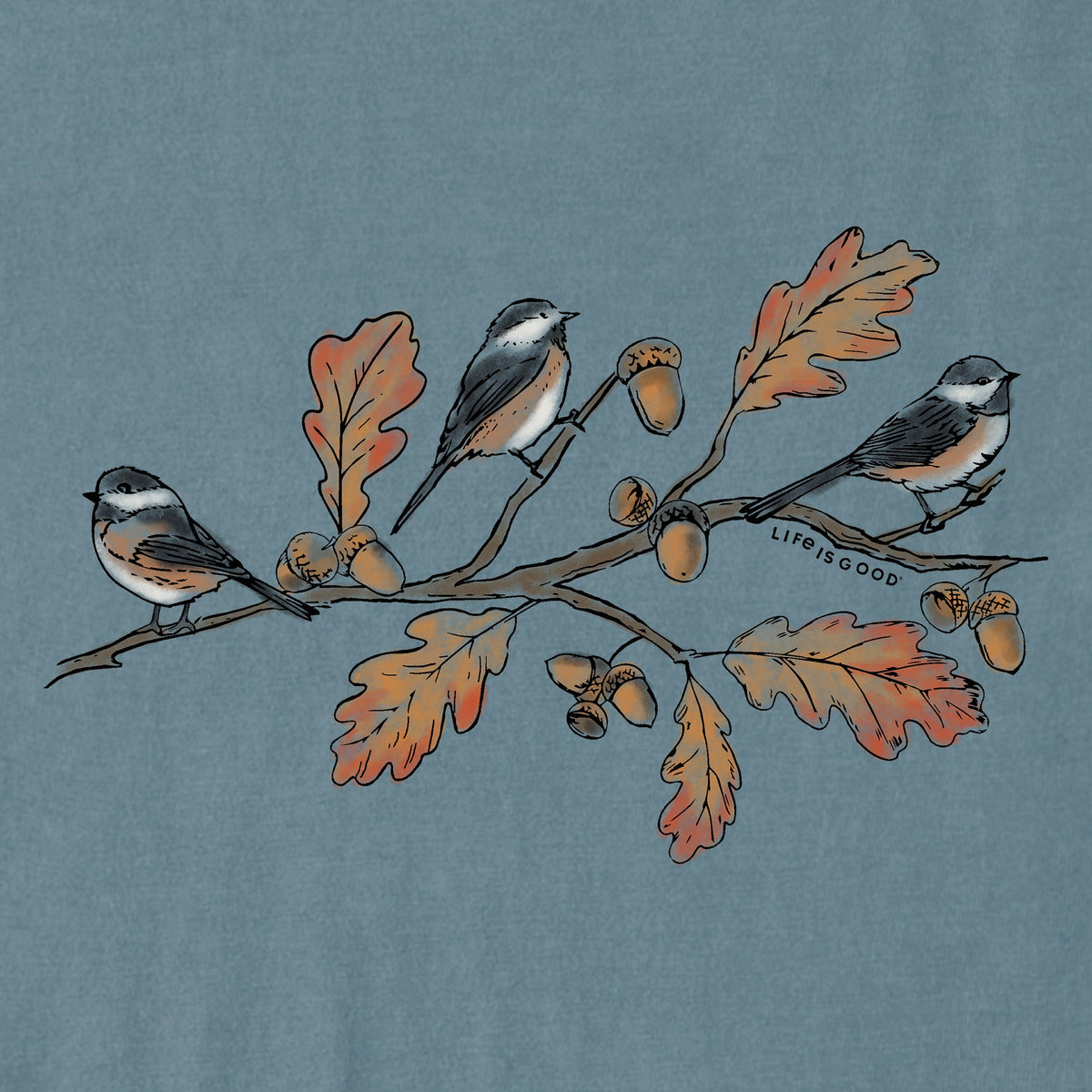 Women's Three Autumn Birds Short Sleeve Crusher Boxy Tee product image 2